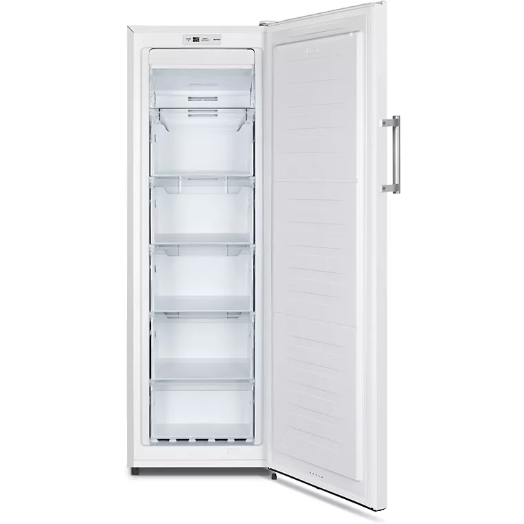 Congélateur armoire ESSENTIELB ECAV170-55hib4