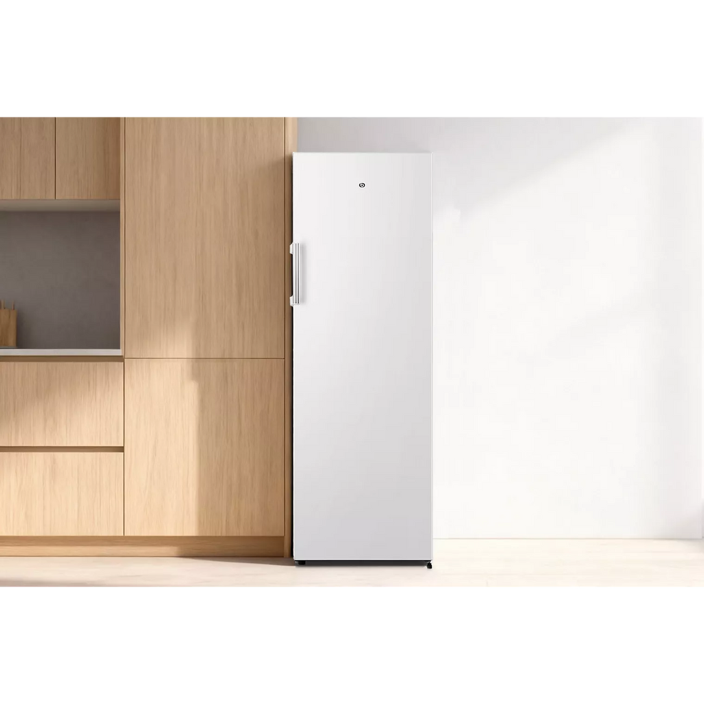 Congélateur armoire ESSENTIELB ECAV170-55hib4
