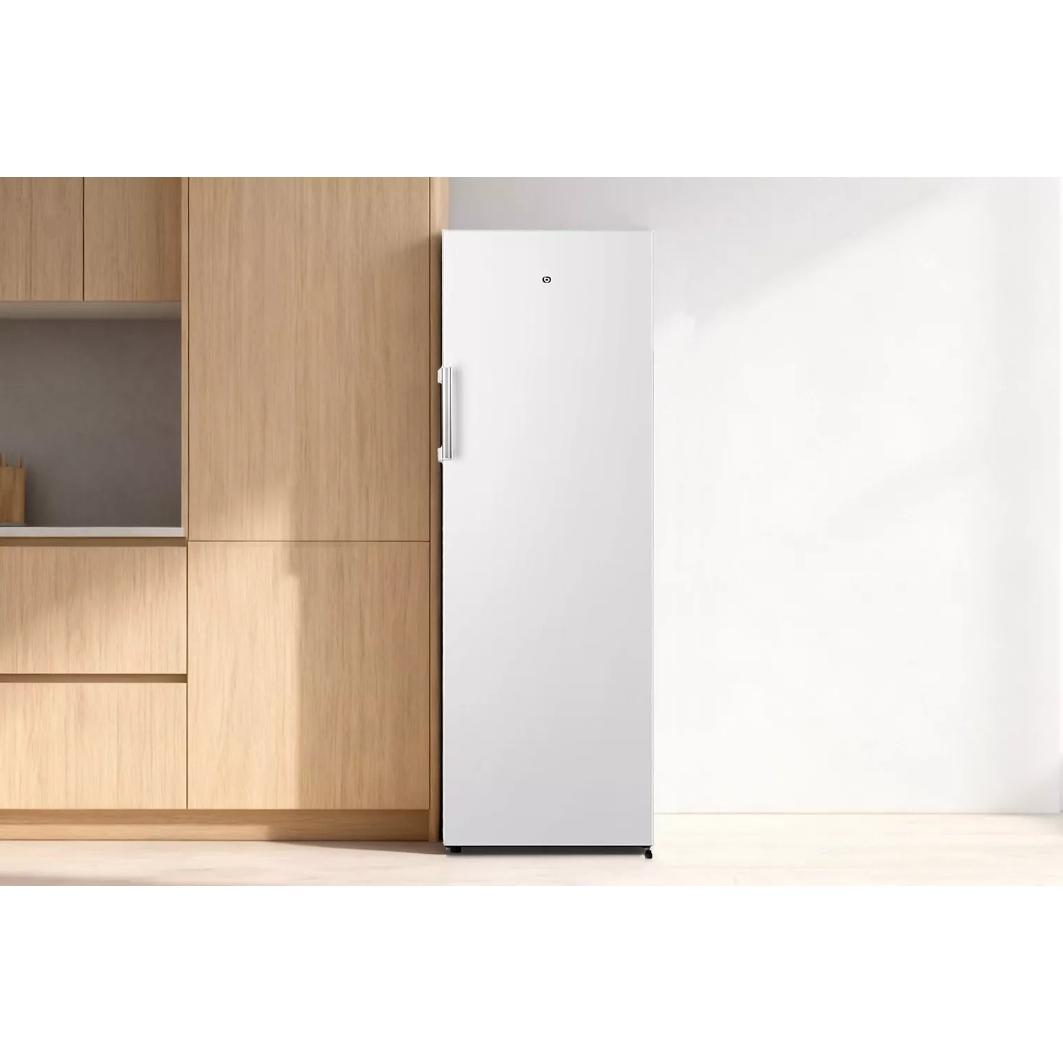 Congélateur armoire ESSENTIELB ECAV170-55hib4
