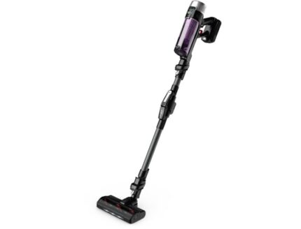 Aspirateur balai flex RH2037