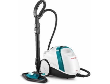 Nettoyeur vapeur Vaporetto SMART 100T
